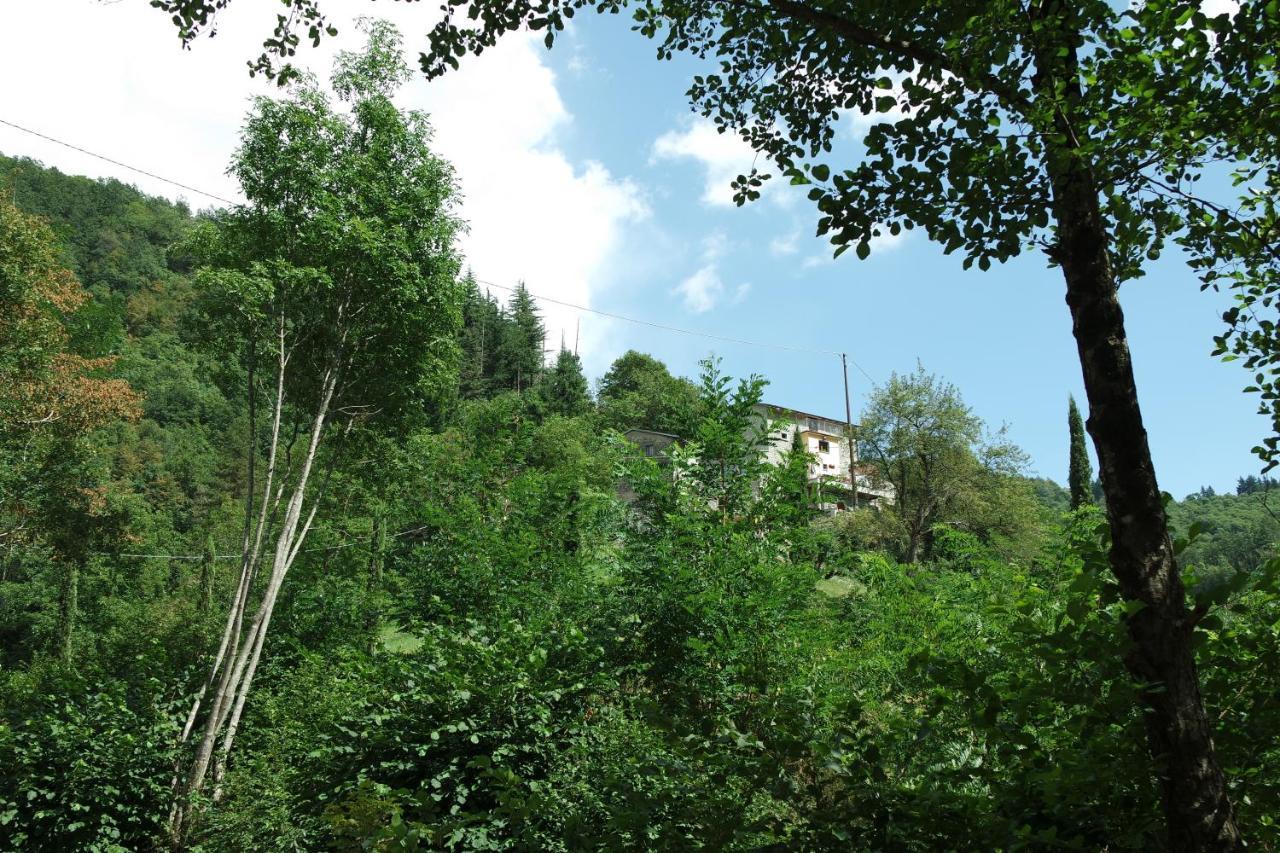 B&B Donnini Firenzuola Exterior foto