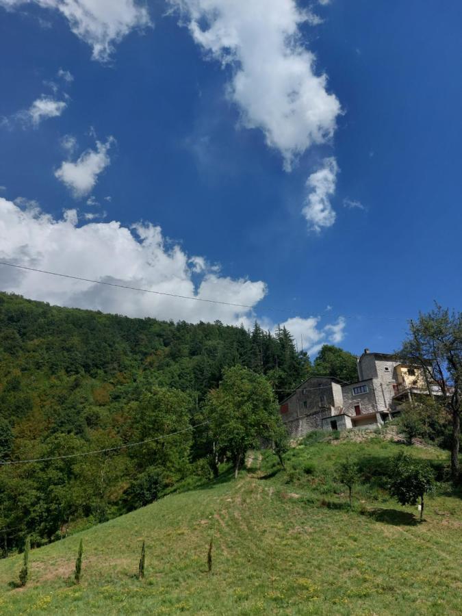 B&B Donnini Firenzuola Exterior foto